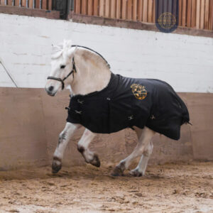Magnetfeldtherapie für Pferde