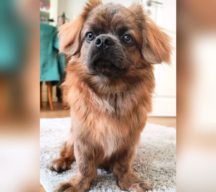 Darmsanierung beendet monatelangen Durchfall