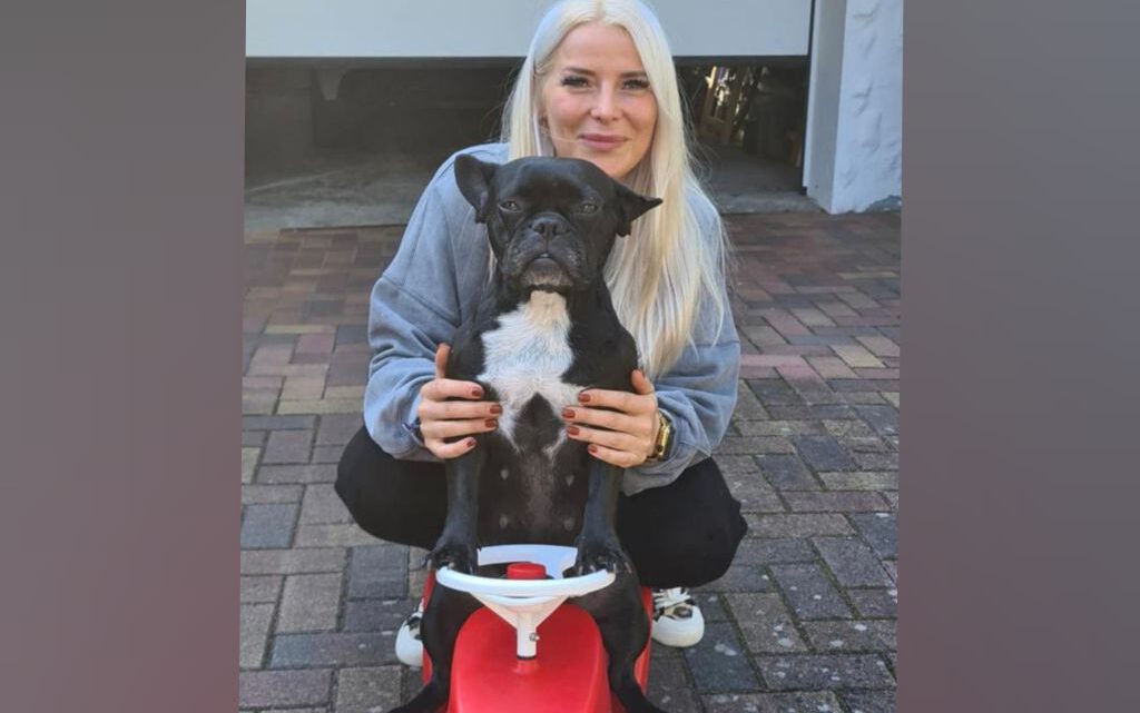 Tierkommunikation ergründet Ursache für Pfotenlecken und spiegelt Frauchens Problem Tierkommunikation ergründet Ursache für Pfotenlecken und spiegelt Frauchens Problem