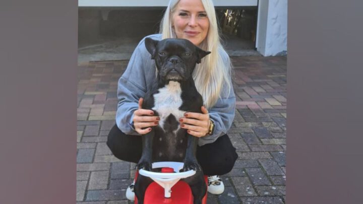 Tierkommunikation ergründet Ursache für Pfotenlecken und spiegelt Frauchens Problem