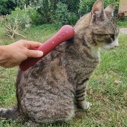 lokale Vibrationstherapie