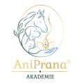 AniPrana-Akademie